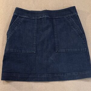 LOFT Dark Blue Mini Skirt